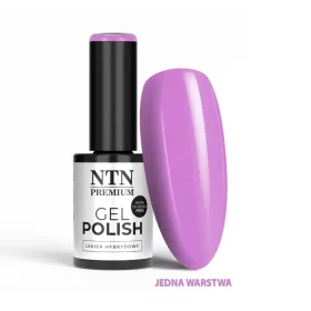 NTN Premium New - 549