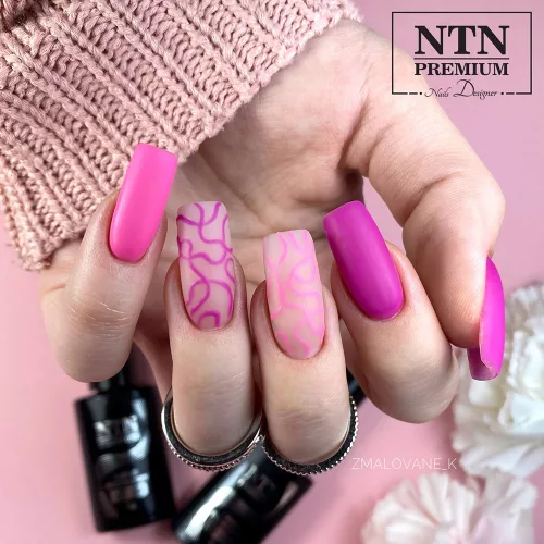 NTN Premium New - 54 - Birthday Party