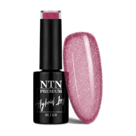 NTN Premium New - 55 - Day Dreaming