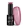 NTN Premium New - 55 - Day Dreaming