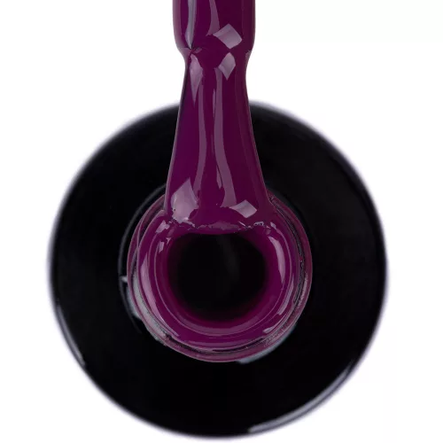 NTN Premium New - 550