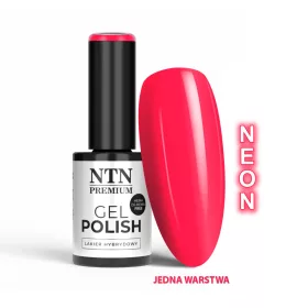 NTN Premium New - 551