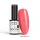 NTN Premium New - 554