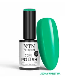 NTN Premium New - 556
