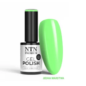 NTN Premium New - 559