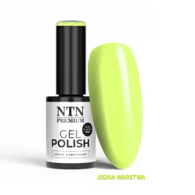 NTN Premium New - 560