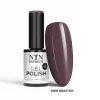 NTN Premium New - 561
