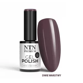NTN Premium New - 561