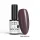NTN Premium New - 561