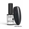 NTN Premium New - 562