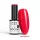NTN Premium New - 568
