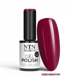 NTN Premium New - 570