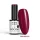 NTN Premium New - 570
