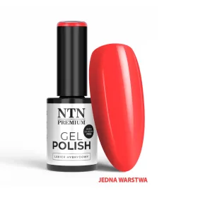 NTN Premium New - 573