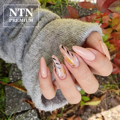 NTN Premium New - 60 - Day Dreaming 