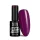 NTN Premium New - 64
