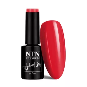 NTN Premium New - 66