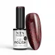 NTN Premium New - 68