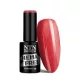 NTN Premium New - 77