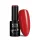 NTN Premium New - 80