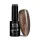 NTN Premium New - 81