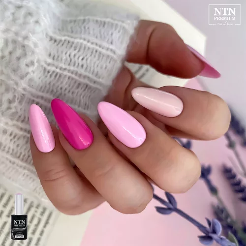 NTN Premium New - 93