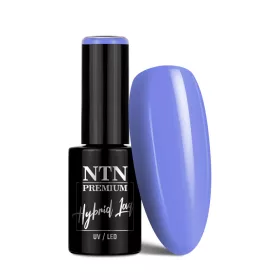 NTN Premium New - 96 - Dessert