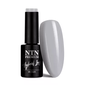 NTN Premium New - 98 - Dessert