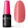 Profinails 3 in 1 One Step Gel Lack 231