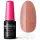 Profinails 3 in 1 One Step Gel Lack 259