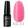 Profinails Gel Lac LED/UV lakkzselé 6 g No. NG-01