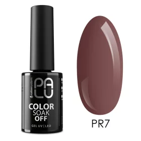 Palu - Prague PR7