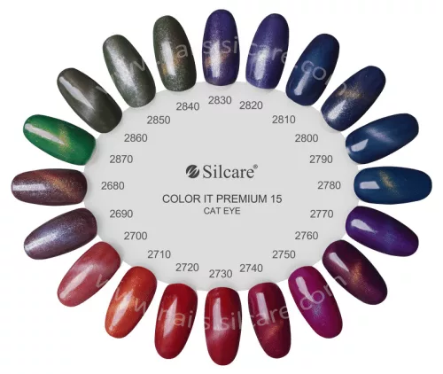 Color It Premium Cat Eye - 2810